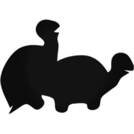 Hawaiian Sea Turtle Stickers – Honu Ocean Decals (2-Pack)