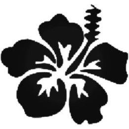 Hibiscus Flower Stickers – Tropical Hawaii Decals (2-Pack)