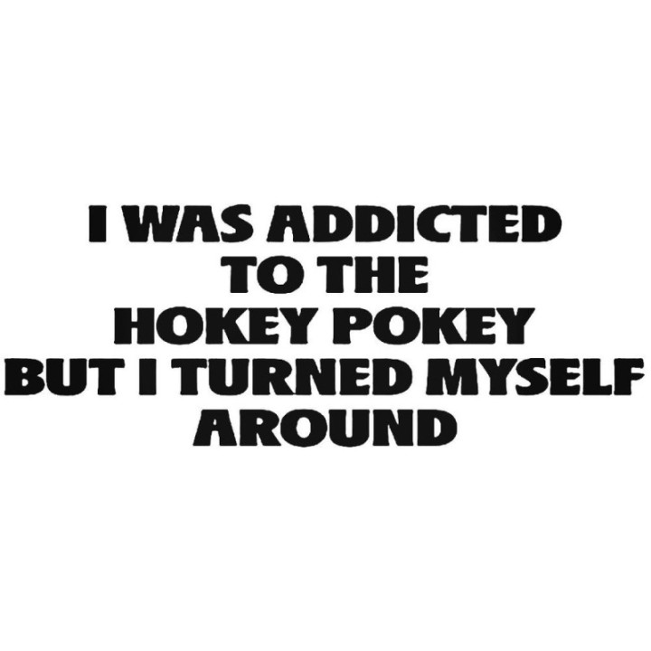 Hokey Pokey Funny Quote Stickers – Turned Around Decals (2-Pack)