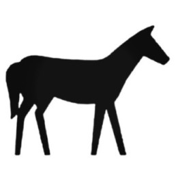 Horse Silhouette Stickers – Equestrian Decals (2-Pack)