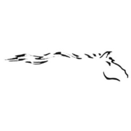 Buy Horse 4 Flaming Animal Die Cut Decal Sticker Online