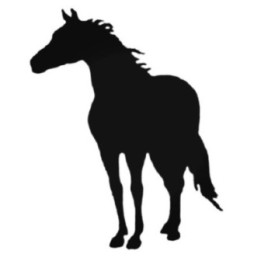Horse Silhouette Stickers – Equestrian Decals (2-Pack)