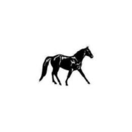 Horse Stickers – Trotting Equestrian Vinyl Decals (2-Pack)