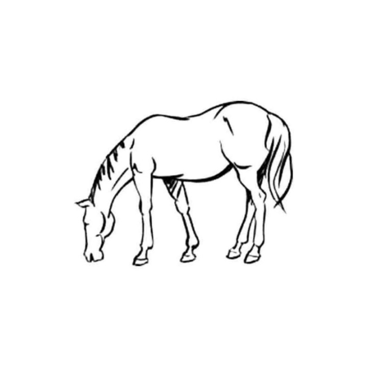 Grazing Horse Stickers – Equestrian Silhouette Decals (2-Pack)