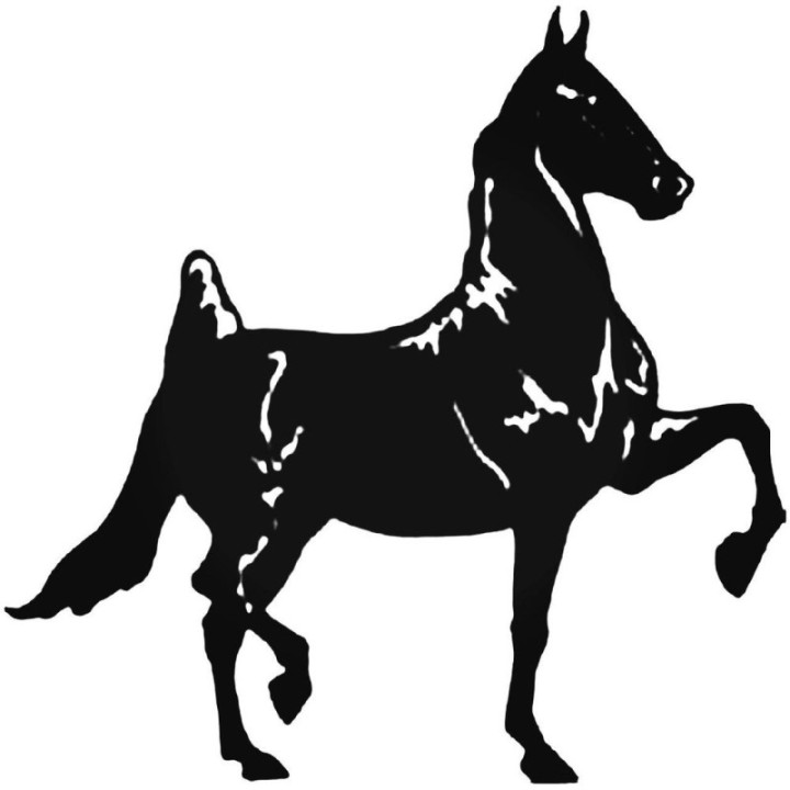 Horse Stickers – Equestrian Arabian Decals (2-Pack)