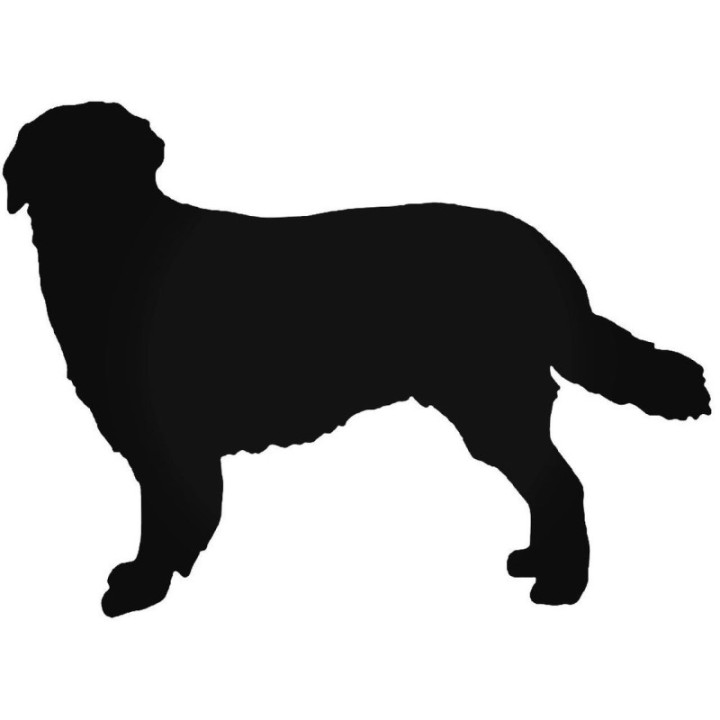 Buy Hovaw Dog Vinyl Decal Sticker Online