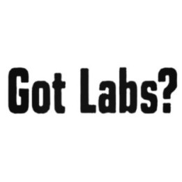 Got Labs? Labrador Stickers – Lab Dog Decals (2-Pack)