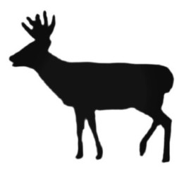 Buy Hunting And Guns Style 343 Decal Sticker Online