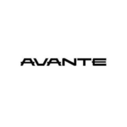 Buy Hyundai Avante Decal Sticker Online