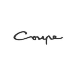 Buy Hyundai Coupe Car Decal Sticker Online
