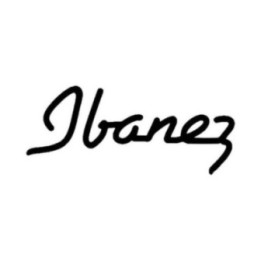 Ibanez Guitar Stickers – RG JEM S Series Decals (2-Pack)