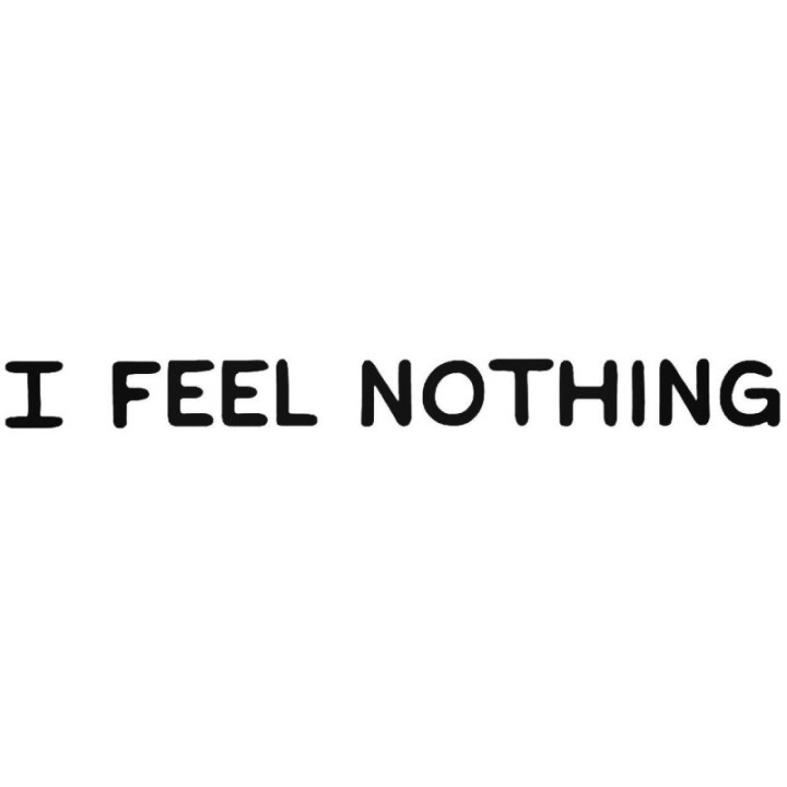 I Feel Nothing Stickers – Emo Goth Quote Decals (2-Pack)