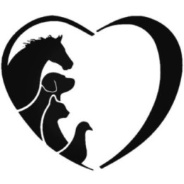 Buy I Love Dogs Vinyl Decal Sticker Online