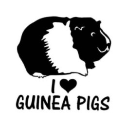 Buy I Love Guinea Pigs Pet Vinyl Decal Sticker Online