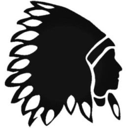 Buy Indian Chief 050 Decal Online