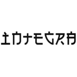 Buy Integra Chinese Graphic Decal Sticker Online