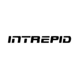 Buy Intrepid Aftermarket Logo Vinyl Decal Sticker Online