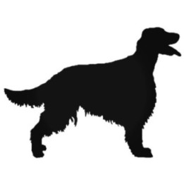 Buy Irish Setter Stds Decal Sticker Online