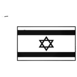 Buy Israel Flag Decal Sticker Online