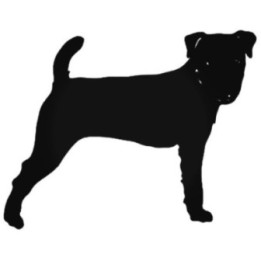 Buy Jack Russell Female Decal Sticker Online