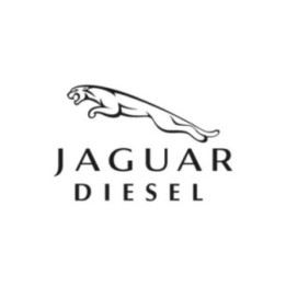 Buy Jaguar Diesel Vinyl Decal Sticker Online