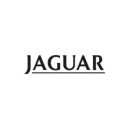 Buy Jaguar Ecriture Trait Vinyl Decal Sticker Online