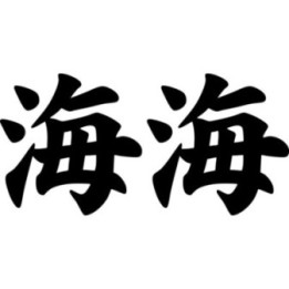 Japanese Kanji Sea Stickers – Umi Ocean Symbol (2-Pack)