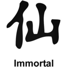 Japanese Kanji Immortal Stickers – Eternal Life Decals (2-Pack)