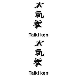 Taiki Ken Stickers – Kanji Taikiken Martial Arts Decals (2-Pack)