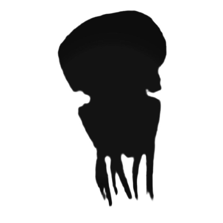 Jellyfish Stickers – Ocean Sea Life Decals (2-Pack)