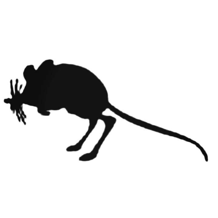 Buy Kangaroo Mouse Decal Sticker Online