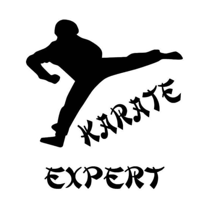 Karate Expert Stickers – Martial Arts Kick Decals (2-Pack)