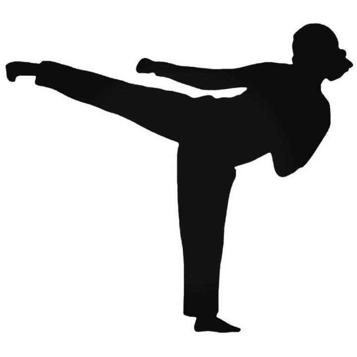 Karate Girl High Kick Stickers – Martial Arts Decals (2-Pack)