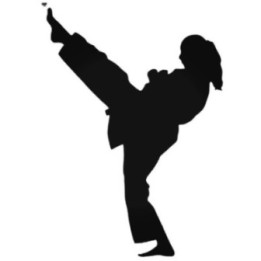 Karate Girl High Kick Stickers – Martial Arts Decals (2-Pack)