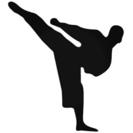 Karate High Kick Stickers – Martial Arts Decals (2-Pack)