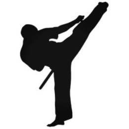 Martial Arts High Kick Stickers – Karate Taekwondo (2-Pack)