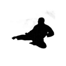 Martial Arts Flying Kick Stickers – Karate Taekwondo (2-Pack)