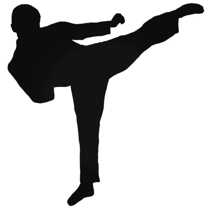 Martial Arts Kick Stickers – Karate Taekwondo Decals (2-Pack)