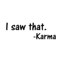 I Saw That Karma Stickers – Funny Quote Decals (2-Pack)