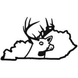 Buy Kentucky State Deer Buck Hunting Vinyl Decal Sticker Online