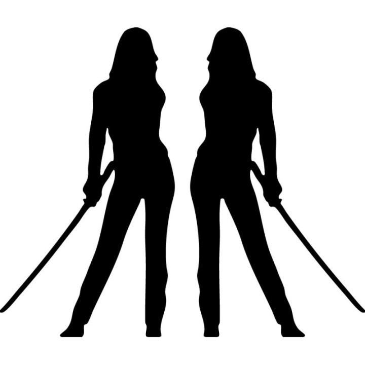 Kill Bill Stickers – The Bride Black Mamba Decals (2-Pack)