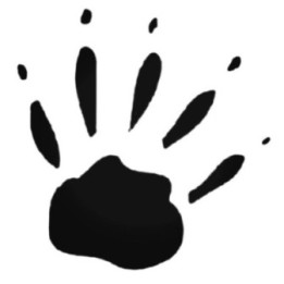 Buy Kinkajou Paw Print Foot Track Decal Sticker Online