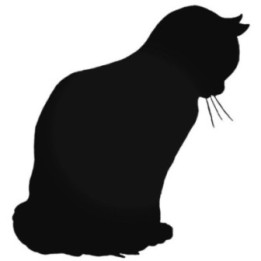 Buy Kitten Sad Decal Sticker Online