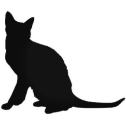 Buy Korat Cat Vinyl Decal Sticker Online