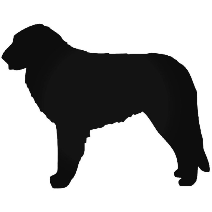 Buy Kuvasz Dog Vinyl Decal Sticker Online