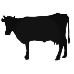 Cow Stickers – Farm Animal Silhouette Decals (2-Pack)