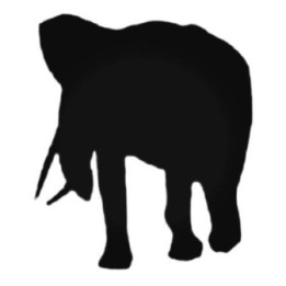 Buy Large Elephant Walking Decal Sticker Online