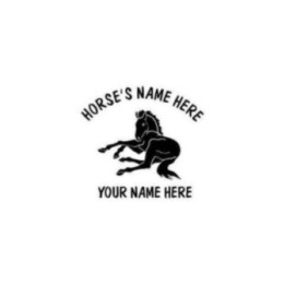Laying Foal Stickers – Personalised Baby Horse Decals (2-Pack)