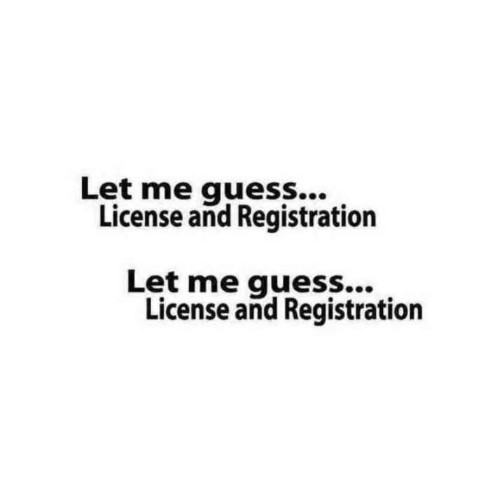 Let Me Guess License and Registration Stickers (2-Pack)