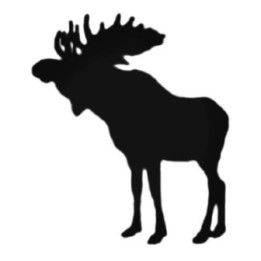 Buy Little Moose Decal Sticker Online